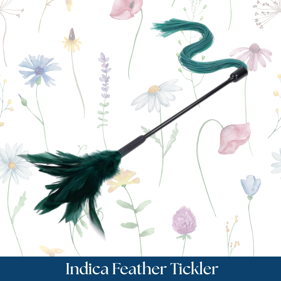 Sportsheets Sex & Mischief Indica Feather Tickler