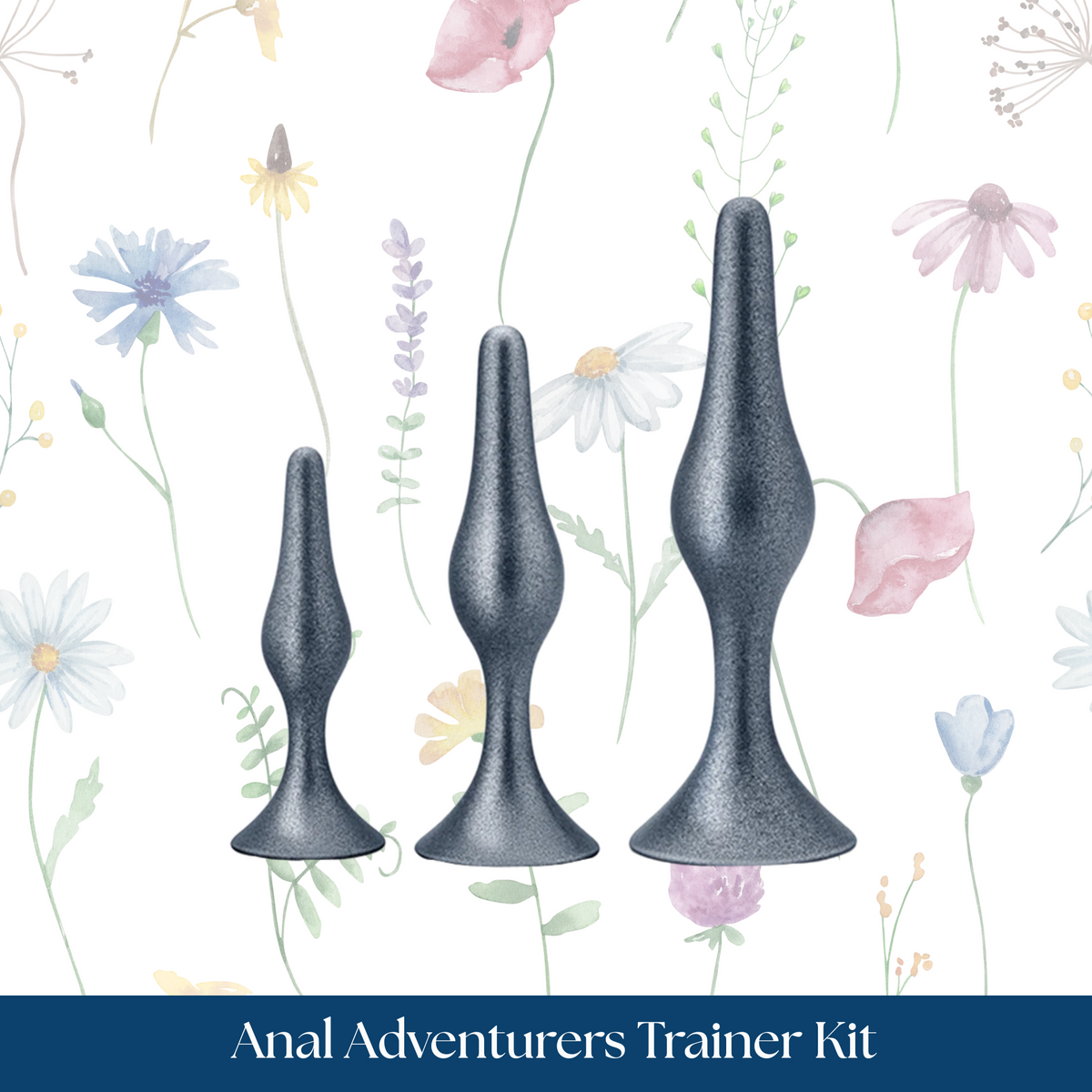 Anal Adventurers Trainer Kit