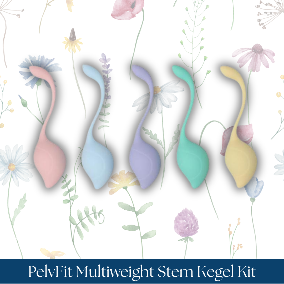 Loveline PelvFit Multiweight Stem Kegel Kit