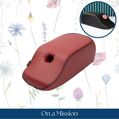 On a Mission Toy Mount