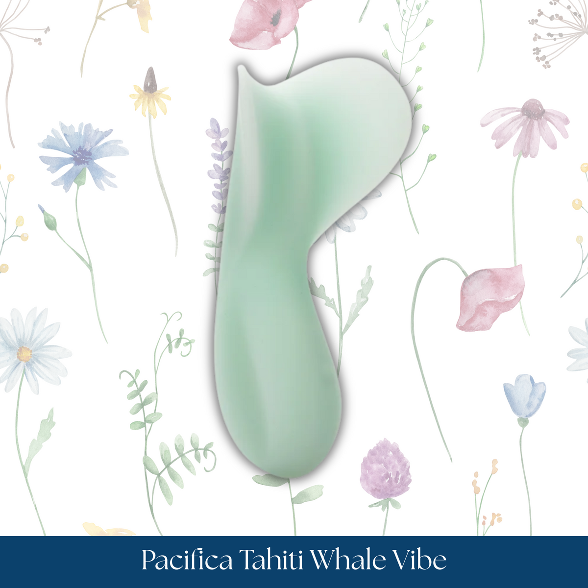 Pacifica Tahiti Whale Vibe