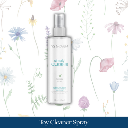 Wicked Toy Cleaner Spray
